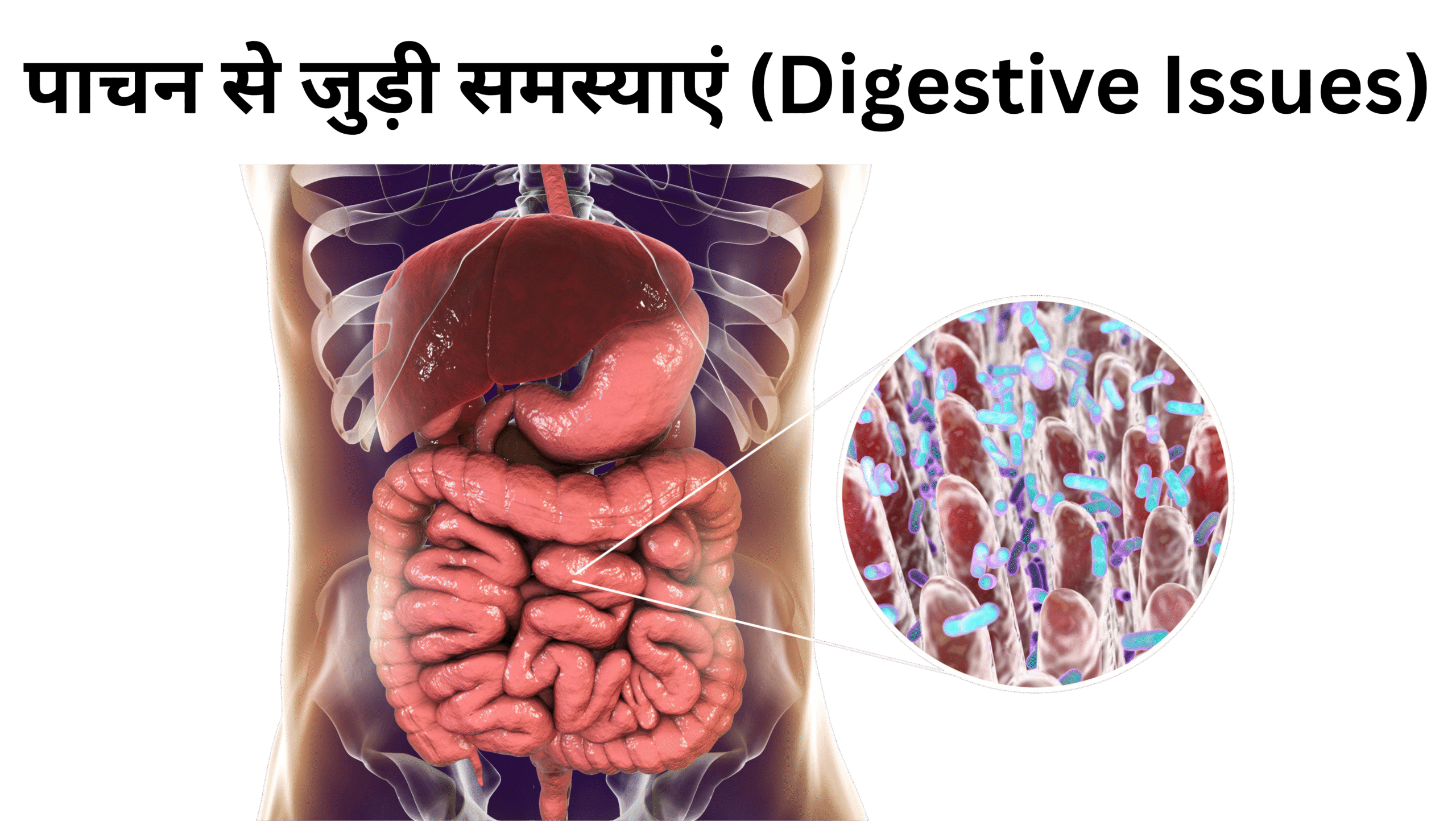 Green Yellow and Pink Floral Hello Summer Facebook Cover (6)